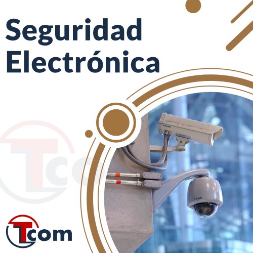 Seguridad Electrónica